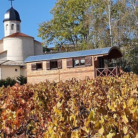 La Roulotte De Chiroubles Affittacamere Esterno foto