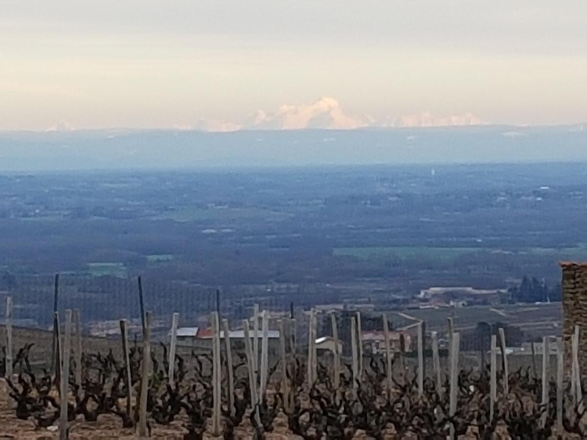 La Roulotte De Chiroubles Affittacamere Esterno foto